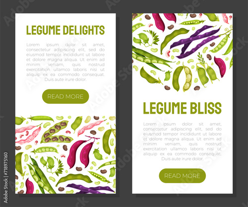 Legume Plant Banner Design with Pod and Bean Vector Template