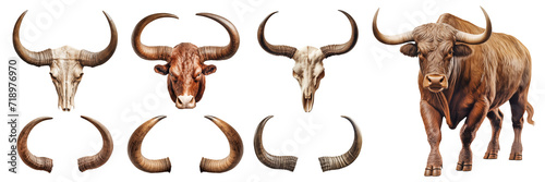 Heads and antlers of elk, deer and bull isolated on transparent background. Set of close-up heads and antlers overlays for pasting. A design element to be inserted into a design or project.
