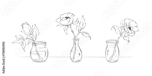 Three rosehip flowers in glass vases. Sketch in lines, freehand drawing. Vector illustration, rose flowers isolated on white background.
