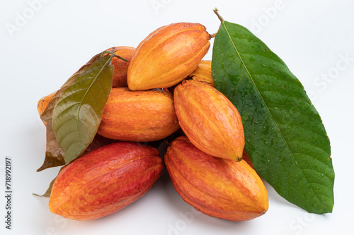 Clean cacao plants with leafs