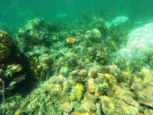 Pass island, Busuanga, Palawan, Philippines