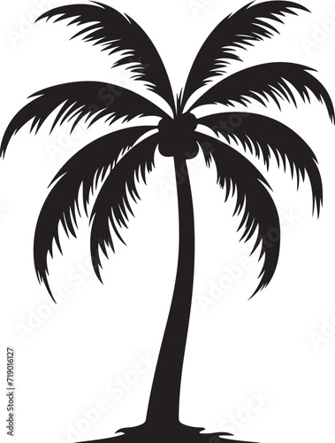 Tropical palm trees with leaves and black silhouettes isolated on a white background. Vector