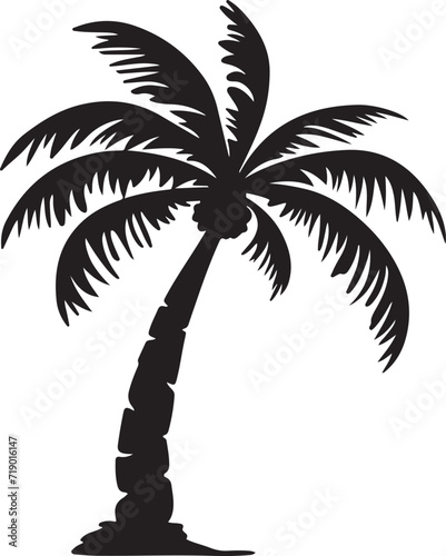 Tropical palm trees with leaves and black silhouettes isolated on a white background. Vector