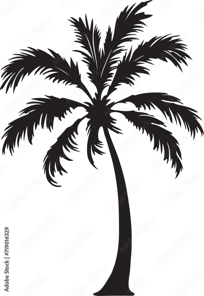 Tropical palm trees with leaves and black silhouettes isolated on a white background. Vector Tropical palm trees with leaves and black silhouettes isolated on a white background. Vector