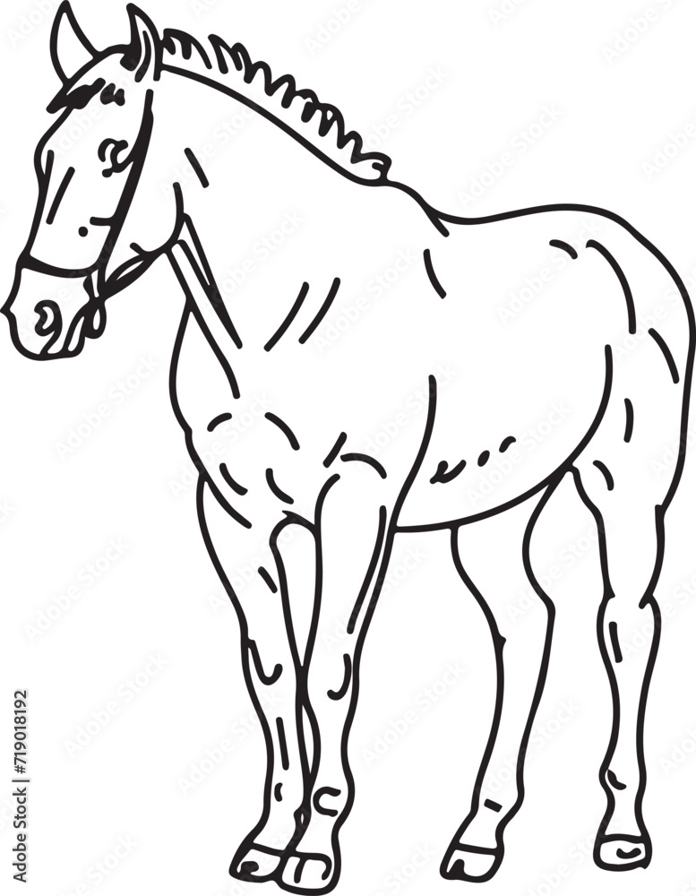 Obraz premium Horse Line art vector illustration black color