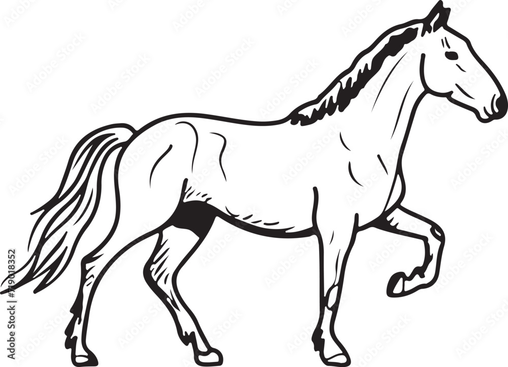 Obraz premium Horse Line art vector illustration black color