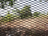 Metal mesh fence, blurred garden background