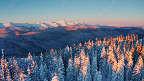 Hoverla, highest mountain in Ukraine and part of the Ukrainian Carpathians. Cinematic Snowy Winter Above Mountains. Aerial view of sunrise in winter forest mountains 