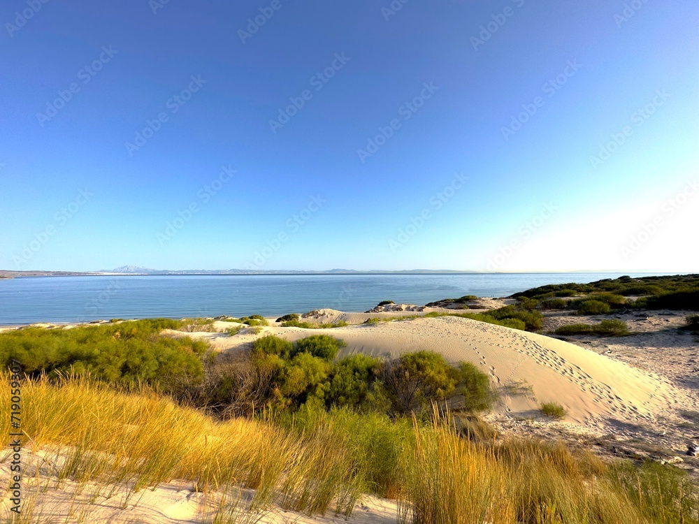 beautiful coastline at the Punta Paloma beach with dunes near Valdevaqueros, Tarifa, Andalusia, province of Cádiz, Spain beautiful coastline at the Punta Paloma beach with dunes near Valdevaqueros, Tarifa, Andalusia, province of Cádiz, Spain