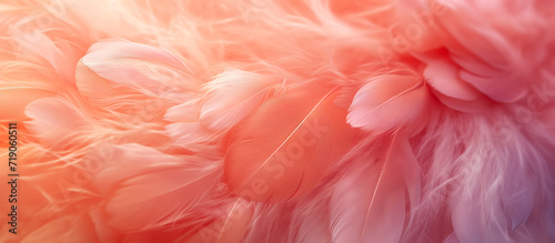 abstract texture of peach fuzz color colored feathers background banner wallpaper long wide © Katrin_Primak