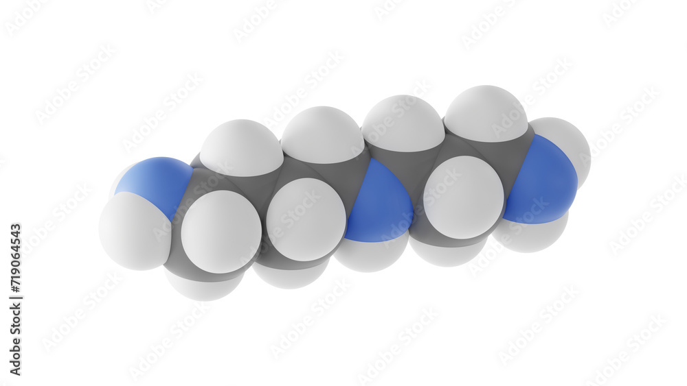 spermidine molecule, aliphatic polyamine, molecular structure, isolated ...