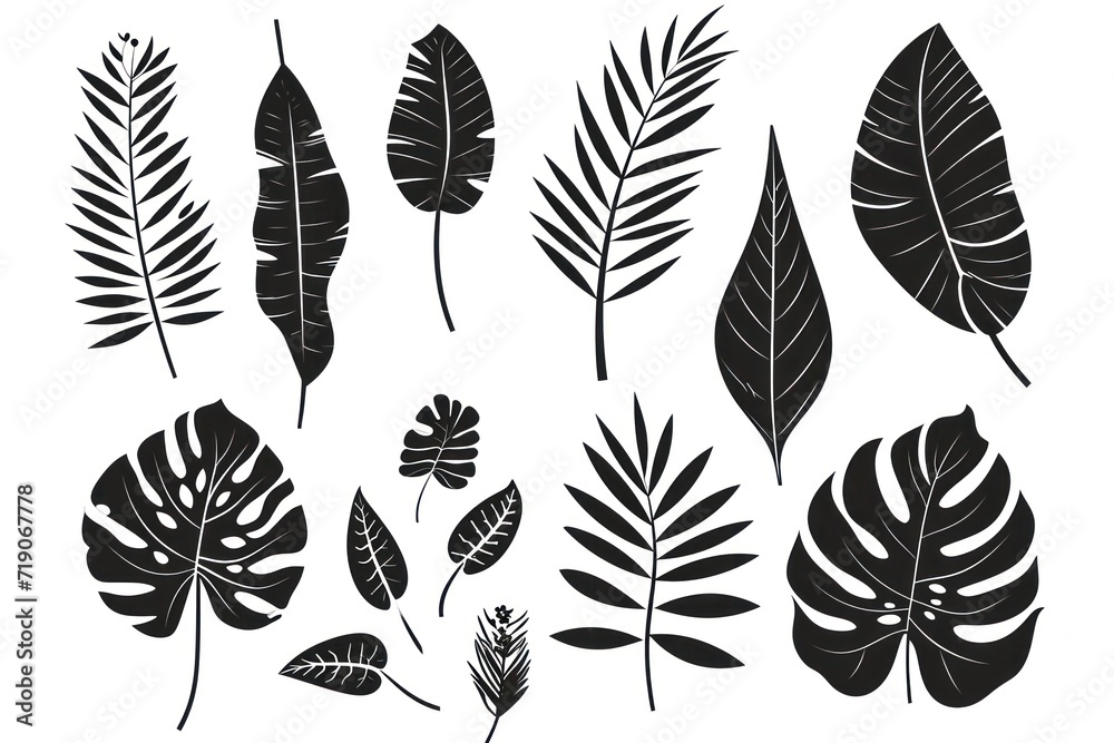 Set of palm leaves silhouettes isolated on white background. Set of palm leaves silhouettes isolated on white background.
