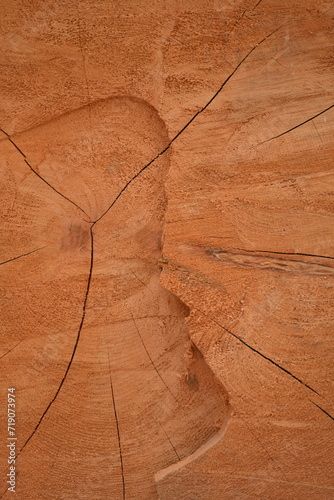 wood texture