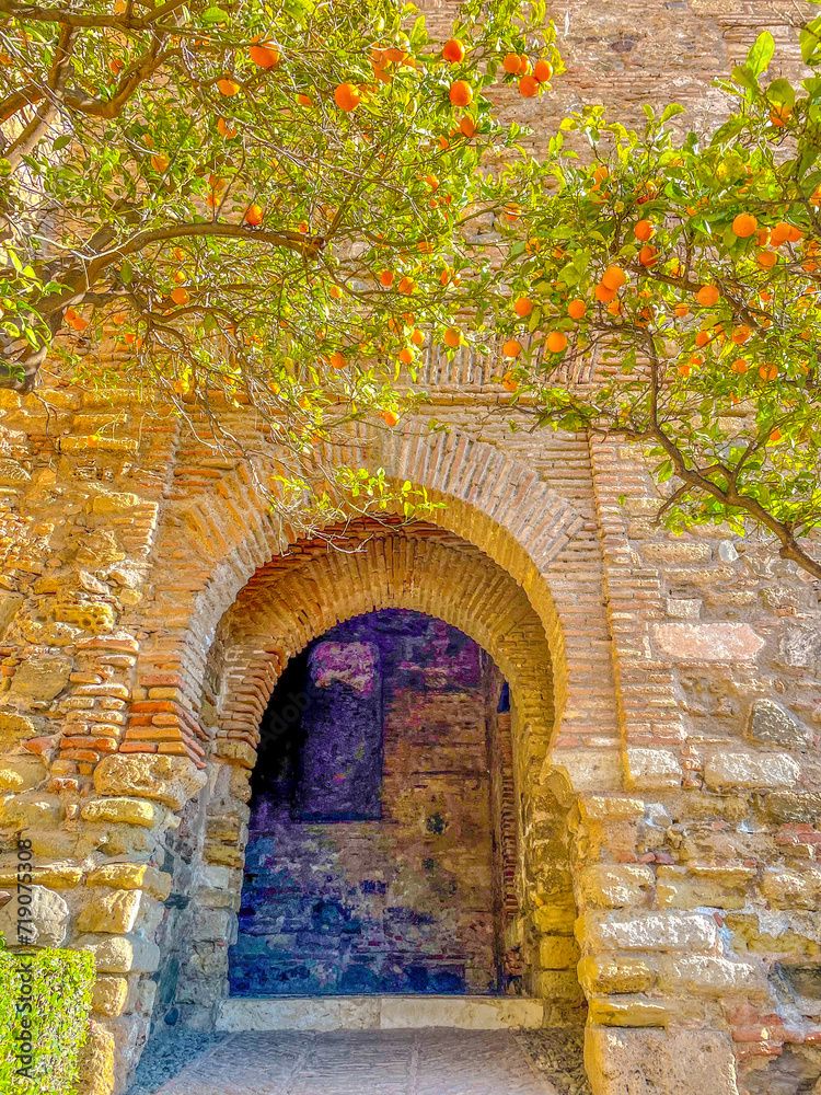 Ancient Stone Arch and oranges trees by the wall in Historic European Street 