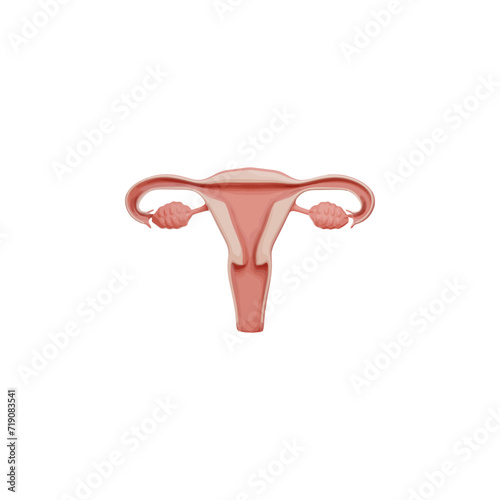 vagina 3d icon vector illustration design