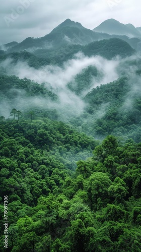 fog over the river