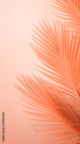 Peachy  Palm leaf on pastel pink background with copy space. Tropical summer concept. Minimal flat lay photo