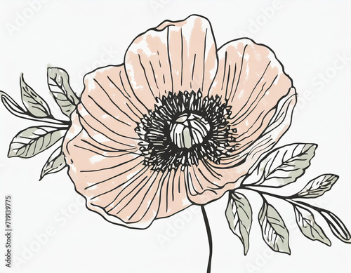 Hand drawn wildflowers, black outlines poppy isolated illustration, wedding stationery element2 - Copy.jpg