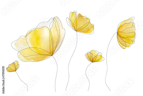 Watercolor spring summer flowers blossom. Tender yellow floral bouquet for decoration and postcard design
