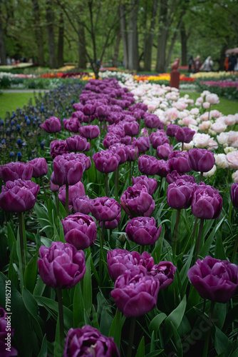 Wallpaper Mural Flowers Torontodigital.ca