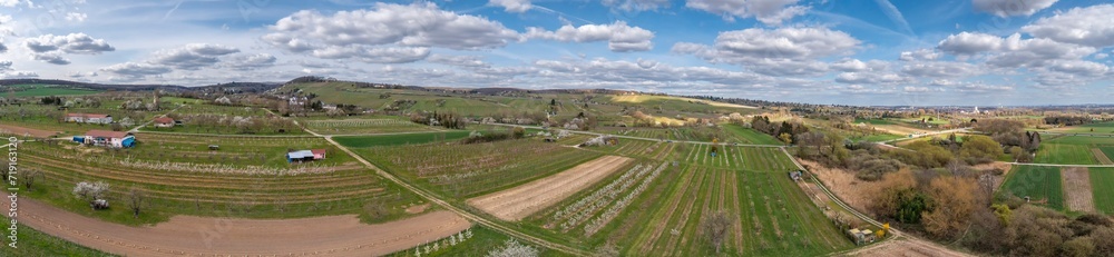 Fototapeta premium Aerial view of the landscape of the Rheingau near Wiesbaden/Germany in spring