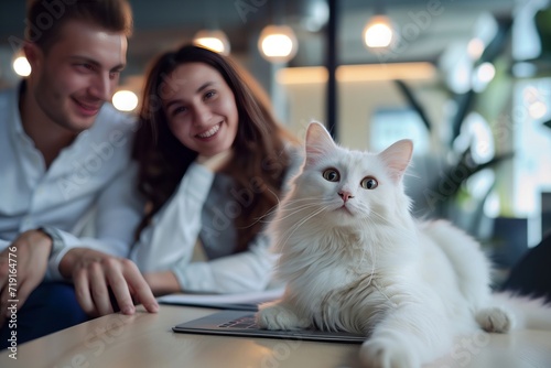 A pet cat in a business environment