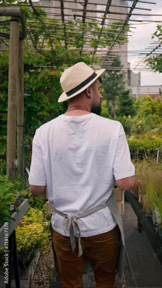 Back view of man small business worker carrying box with fresh plants and going through greenhouse Back view of man small business worker carrying box with fresh plants and going through greenhouse