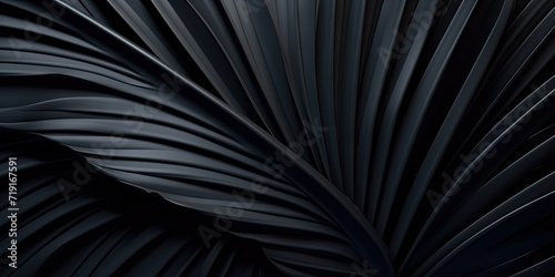  close up of the black palm leaf, Textures of abstract black leaves for tropical leaf background. Flat lay, dark nature concept, tropical leaves