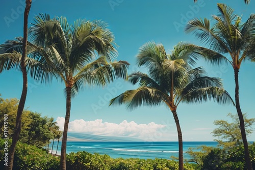 Tropical beach view with palm trees and clear blue sky.