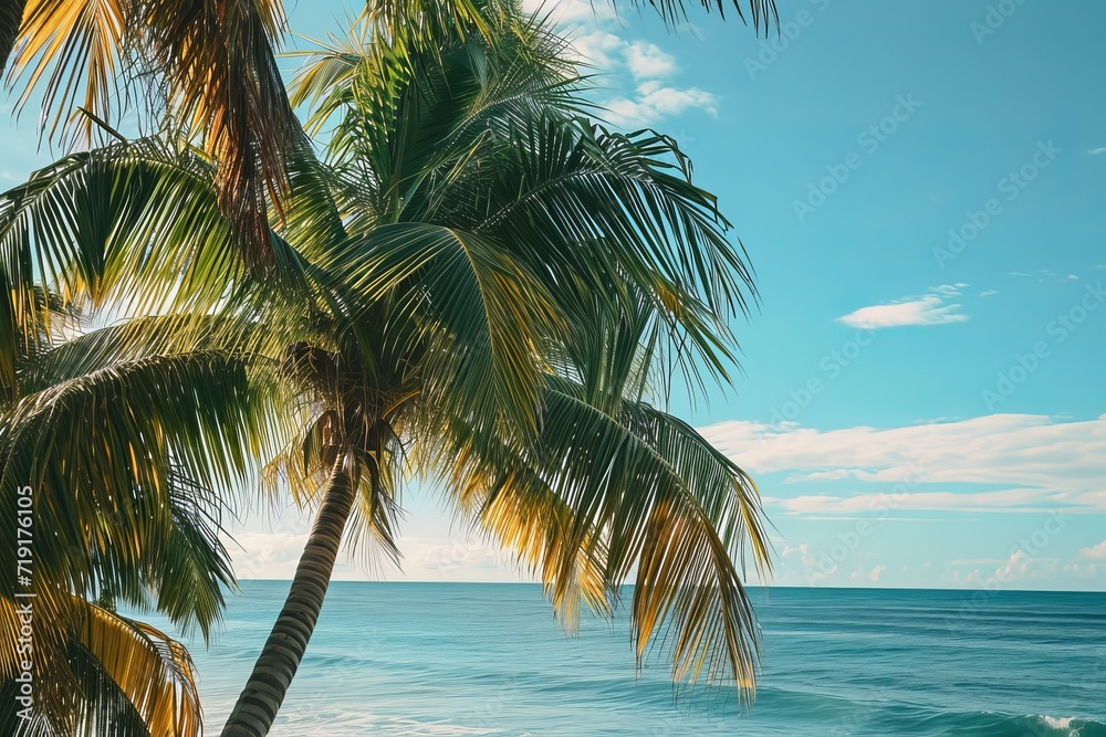 Tropical beach scene with palm trees against a clear blue sky.