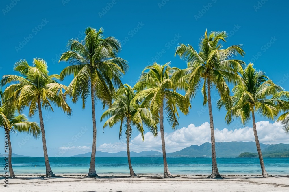 Tropical beach with a row of palm trees against a clear blue sky, with ocean and mountains in the background.