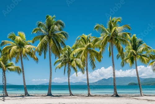 Tropical beach with a row of palm trees against a clear blue sky  with ocean and mountains in the background.