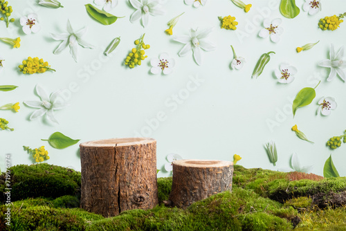 natural style. Wooden saw cuts, round podiums with floral pattern, frame of flowers on a pale green background. Still life for the presentation of products. 