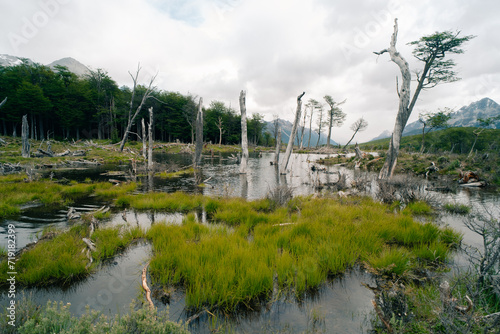 Trek to Laguna Esmeralda in southern Argentina close to Ushuaia in Patagonia - dec 2th 2023