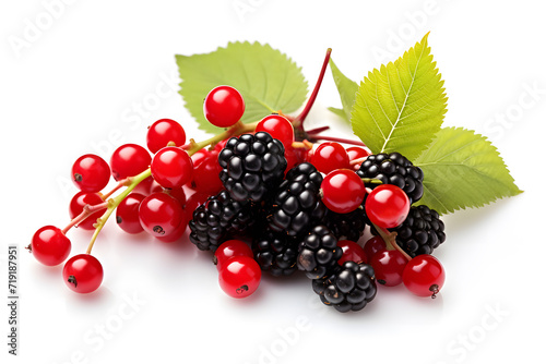 mix berry on white background