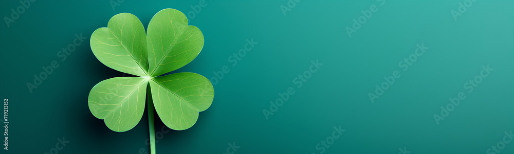 Flat lay of four-leaf clover with green background. Happy St. Patrick's Day. Flat lay of four-leaf clover with green background. Happy St. Patrick's Day.