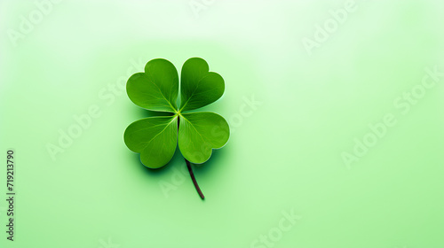 Flat lay of four-leaf clover with green background. Happy St. Patrick's Day.