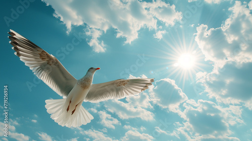 Hintergrund ein weißer Vogel an einem sonnigen Tag mit blauem Himmel