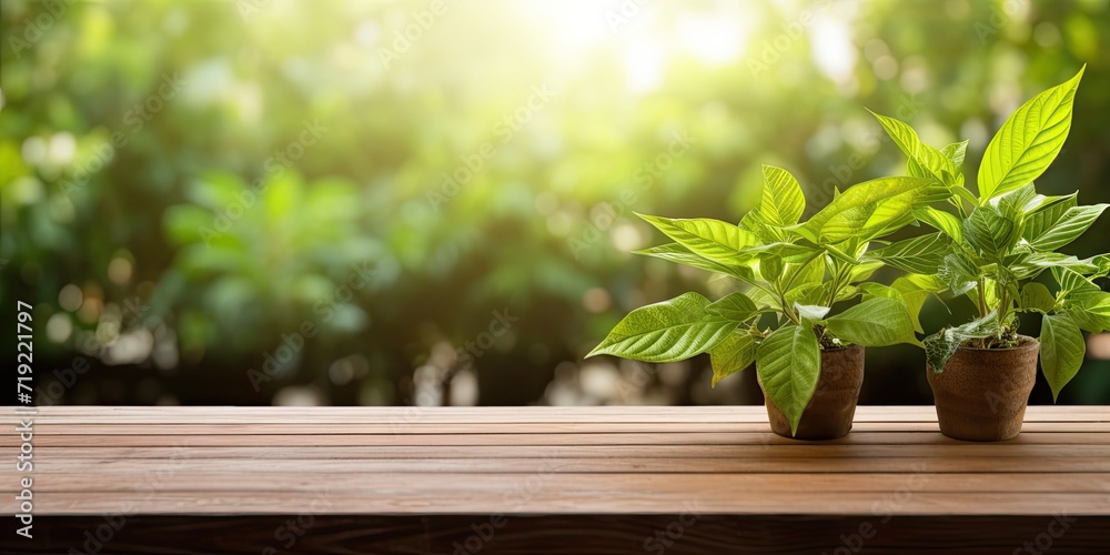 Green plants provide a background for an unfurnished wooden table in a summer backyard or patio.