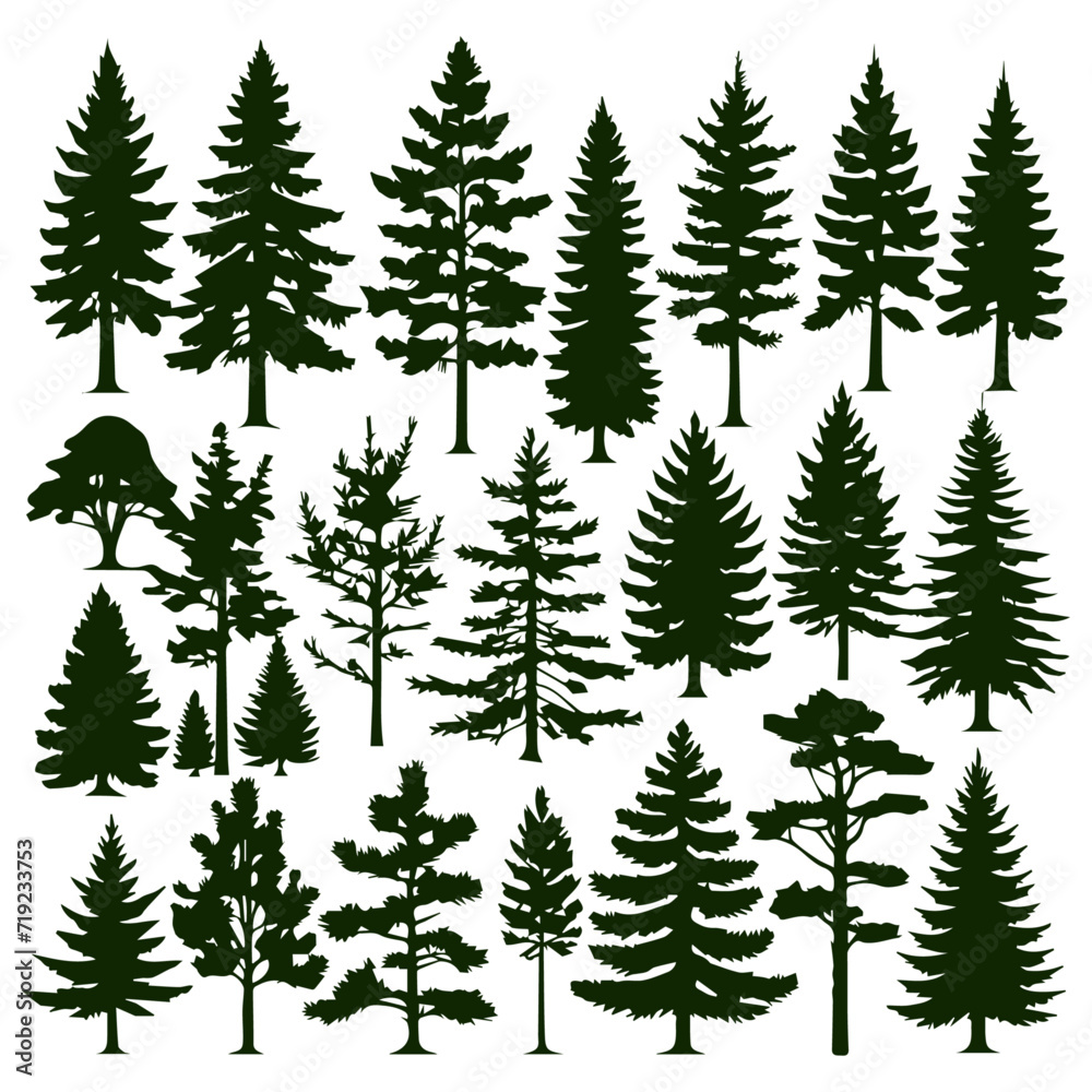 coniferous trees silhouettes collection