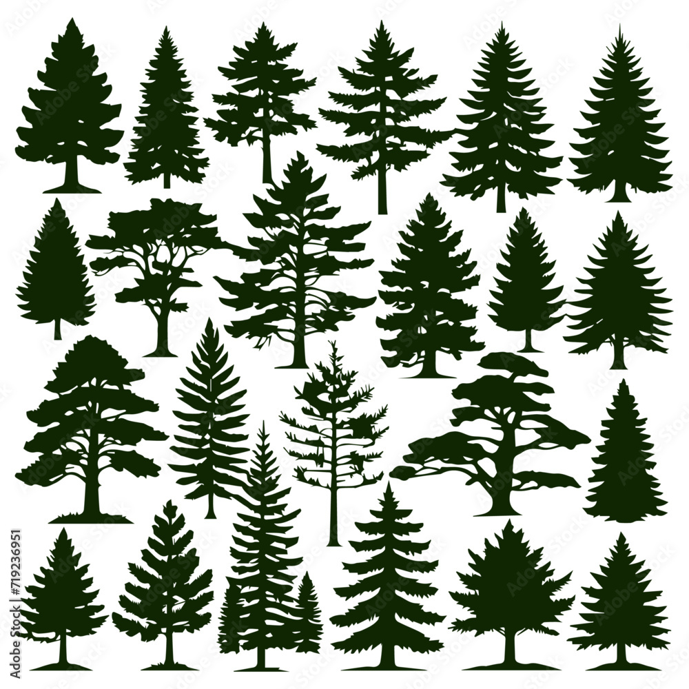 coniferous trees silhouettes collection