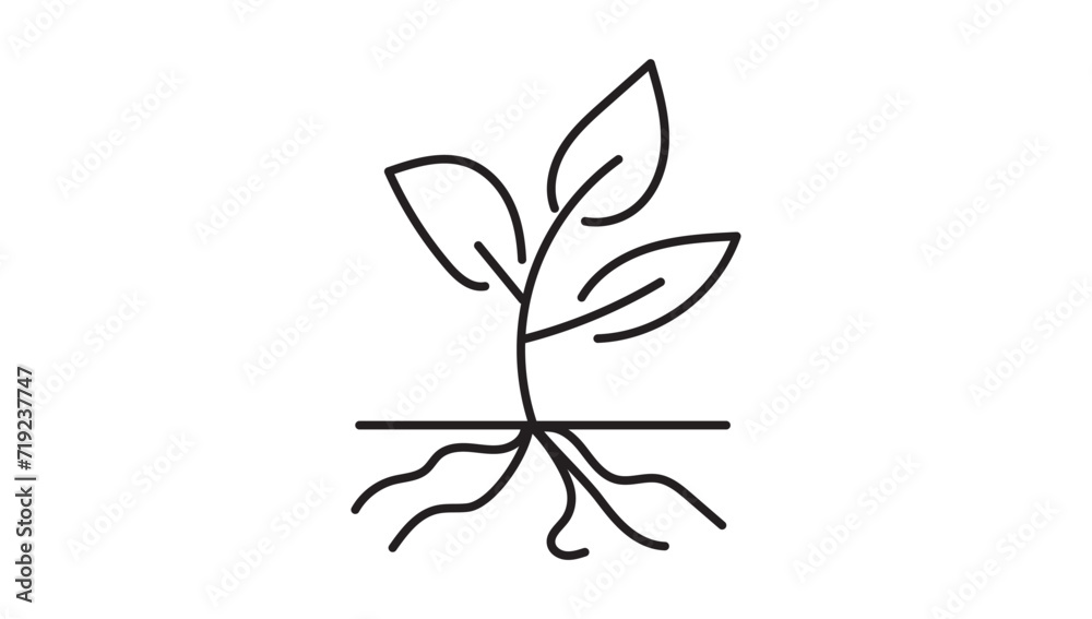 plant and root line icon in white and black colors. plant and root flat vector icon from plant root collection for web, mobile apps ui