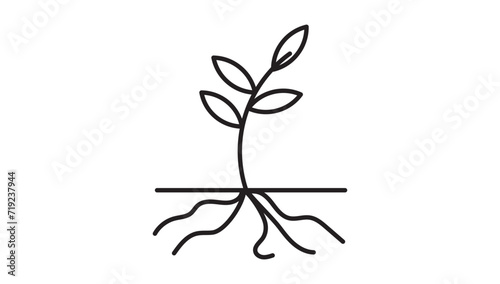 plant and root line icon in white and black colors. plant and root flat vector icon from plant root collection for web  mobile apps ui