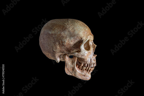 Black background with a spooky human skull, isolated and set against the darkness, embodying the themes of Halloween, death, and anatomy in a bone-chilling display