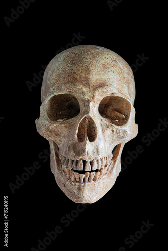 Black background with a spooky human skull, isolated and set against the darkness, embodying the themes of Halloween, death, and anatomy in a bone-chilling display