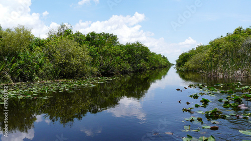 Marshes and mangroves of Everglades National Park, Florida, United States