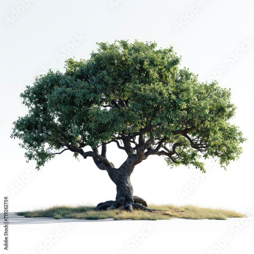 Left View Tree Generic Png Alpha, 3d  illustration