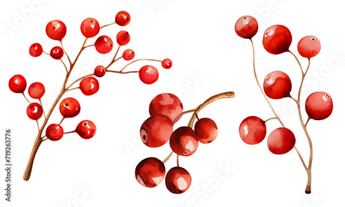watercolor red berries isolated on transparent background, red berries clipart