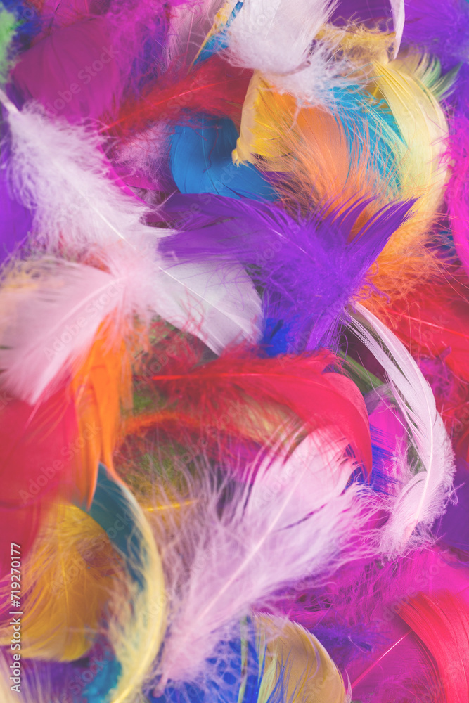 Colorful feather background. Colorful feather background.