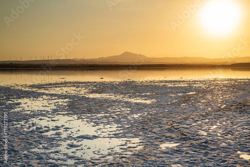 Larnaca salt lake in Cyprus. Lake dries up and the ground is covered with a layer of white salt 